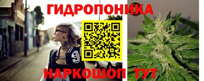 стафф Кинель